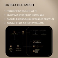 Релле Yeelight Pro, серия S20, 2 канала (N L)