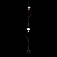 Потолочный детский светильник LOFT IT 10346/2 Black