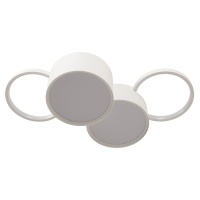 Накладной светильник LOFT IT 10317/4 White