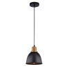 Подвесной светильник ARTE Lamp A4245SP-1BK