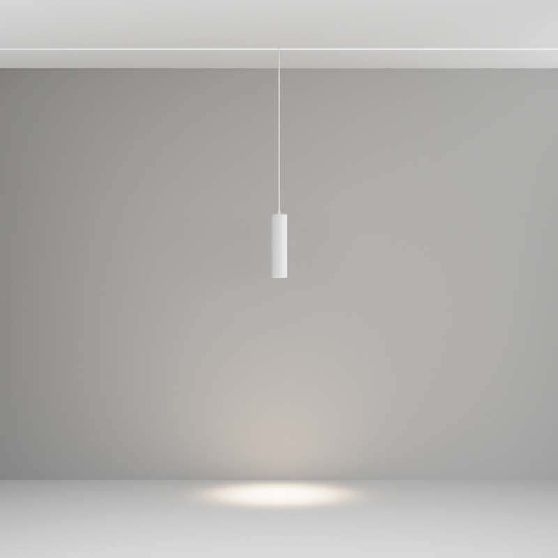 Трековый подвесной светильник Technical TR041-2-12W4K-W