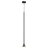 Подвесной светильник Odeon Light 3884/1B