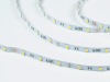 SWG Standard Светодиодная лента 5050, 30 LED/м, 7,2 Вт/м, 12В , IP20, Цвет: Холодный белый, SWG530-12-7.2-W-M