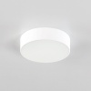 Накладной светильник Citilux CL712120N