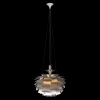 Подвесная люстра LOFT IT 10156/800 Silver