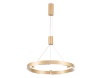 Подвесной светильник Ambrella Light FL5846