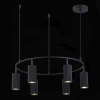Подвесная люстра ST-Luce SL1213.403.06