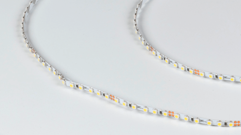 SWG PRO Светодиодная лента SWG PRO 3528, 120 LED/м, 9,6 Вт/м, 24В , IP20, Цвет: Холодный белый, SWG3PT120-24-9.6-W
