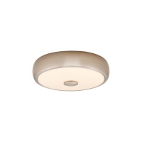 Накладной светильник Citilux CL706321