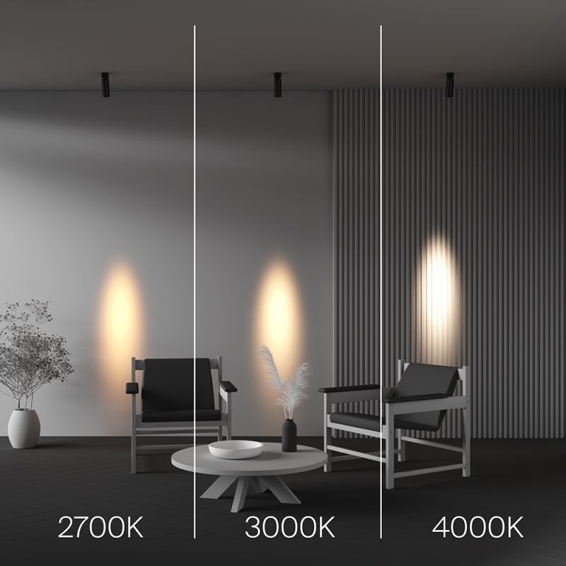Спот Maytoni C055CL-L12W3K-SS-B