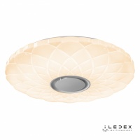 Накладной светильник iLedex ZN-XU108XD-GSR-YK