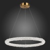 Подвесная люстра ST-Luce SL6110.213.01