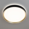 Накладной светильник Citilux CL751351G