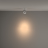 Трековый светильник Technical TR084-1-15W3K-D-W
