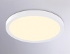 Накладной светильник Ambrella Light FZ1903