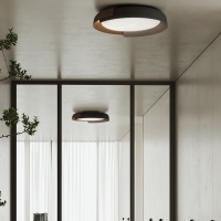 Накладной светильник ImperiumLoft 223830-23