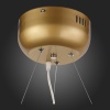 Подвесная люстра ST-Luce SL411.233.45