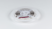 DesignLed Светодиодная лента 24Вт теплое свечение, DSG2252-24-WW-33