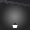 Светильник на шине ST-Luce ST358.443.07