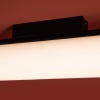 Потолочный светильник Freya FR5625CL-L20B