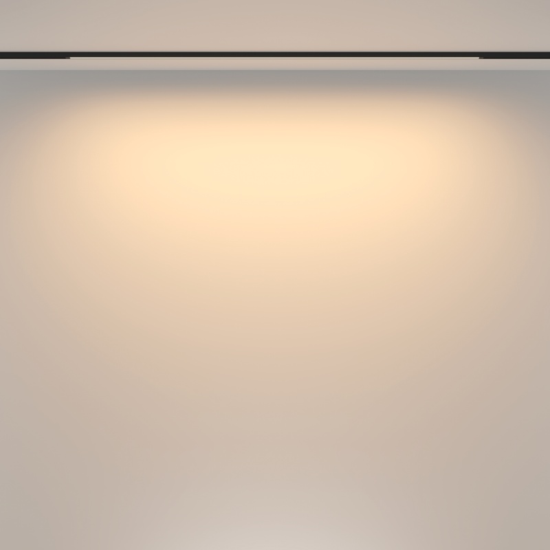 Трековый светильник Technical TR173-1-24WTW-B