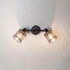 Спот Citilux CL535625