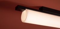 Потолочный светильник Freya FR5625CL-L20B