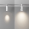 Трековый светильник Technical TR212-1-12WTW-DD-Z-W