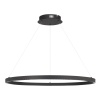 Подвесной светильник ST-Luce SL6238.443.01