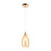 Подвесной светильник Ambrella Light TR3543