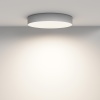 Потолочный светильник Technical C032CL-45W4K-RD-W