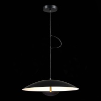 Подвесной светильник ST-Luce SL6502.403.01