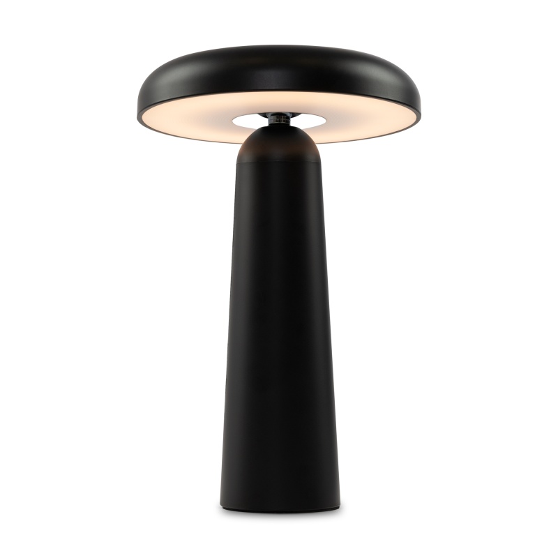 Аккумуляторный светильник Freya FR6109TL-L4B