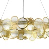Подвесная люстра ST-Luce SL6133.303.09