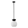 Подвесной светильник iLamp P6079-1 BK+WH