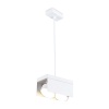 Подвесной светильник Ambrella Light TN70857