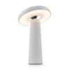 Аккумуляторный светильник Freya FR6109TL-L4W