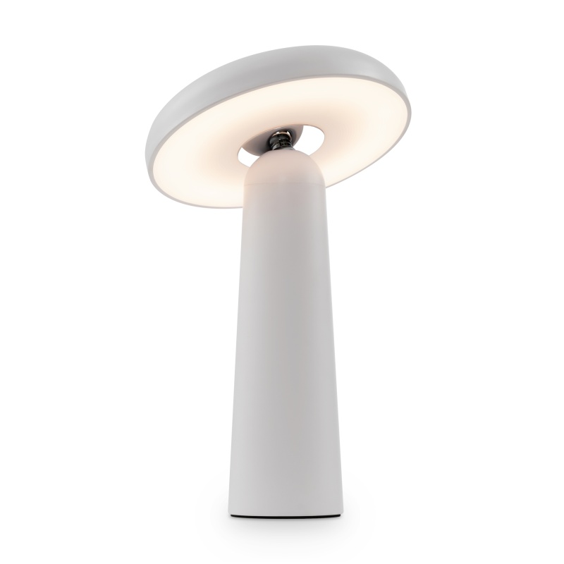Аккумуляторный светильник Freya FR6109TL-L4W