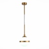 Подвесной светильник ST-Luce SL1157.303.01