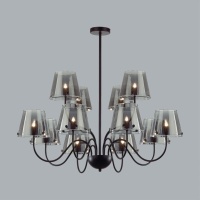 Люстра на штанге LUMION 6570/12C