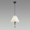 Подвесной светильник Odeon Light 4896/1