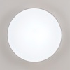 Накладной светильник Citilux CL72495G0