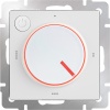 Терморегулятор Werkel W1151101