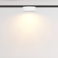 Трековый светильник Technical TR189-1-12W2.7K-BW