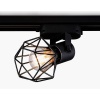 Ambrella Light GL5002