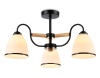 Накладной светильник Ambrella Light TR3033241