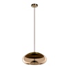 Подвесной светильник LOFT IT 8135-D