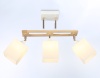 Накладной светильник Ambrella Light TR9505