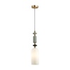 Подвесной светильник Odeon Light 4861/1D
