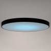 Накладной светильник Citilux CL724155G1